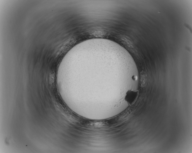 X0000103170365200809121906