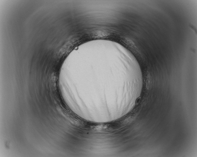 X0000103170366200809121906