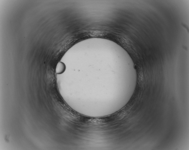 X0000103170367200809121906