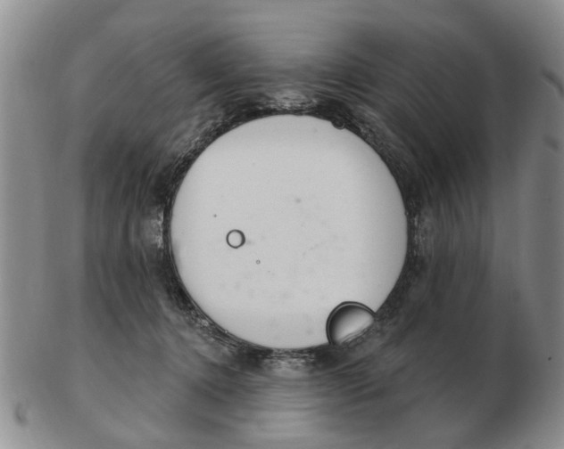 X0000103170368200809121906