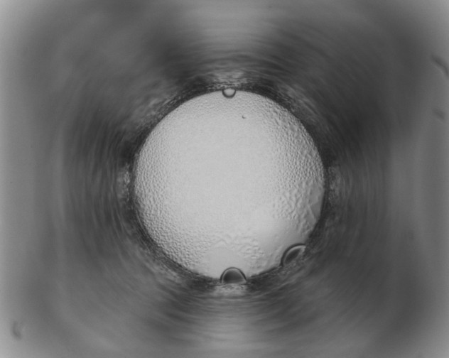 X0000103170369200809121906