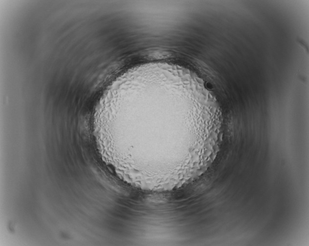 X0000103170373200809121906