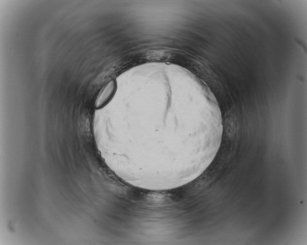 X0000103170375200809121906