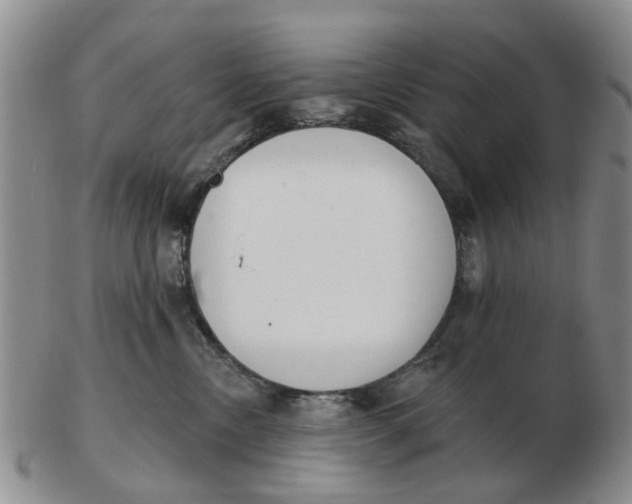 X0000103170378200809121906