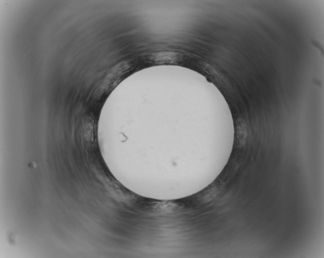 X0000103170379200809121906