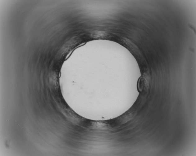 X0000103170380200809121906