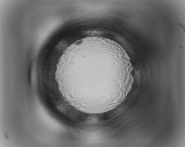 X0000103170381200809121906