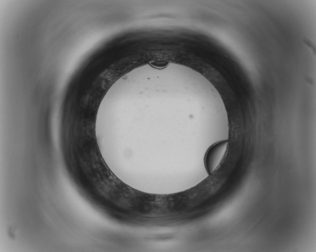 X0000103170383200809121906