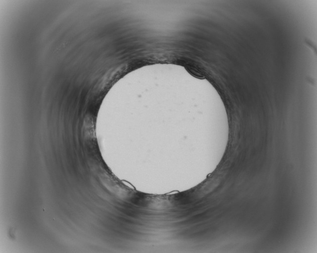 X0000103170384200809121906