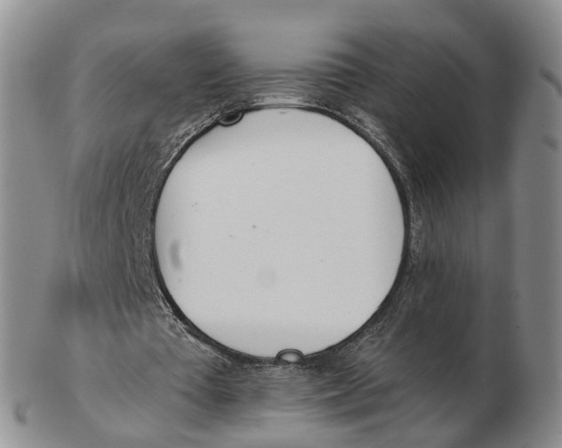 X0000103170385200809121905