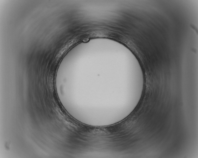 X0000103170386200809121905