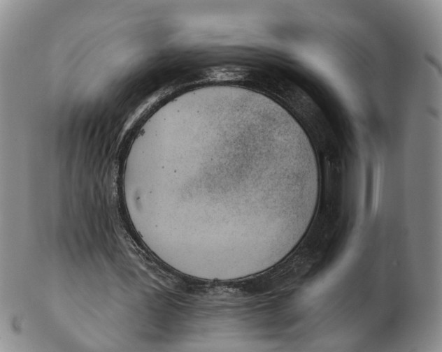 X0000103170387200809121905