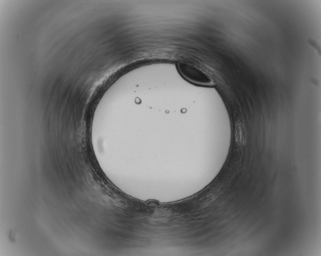 X0000103170388200809121905