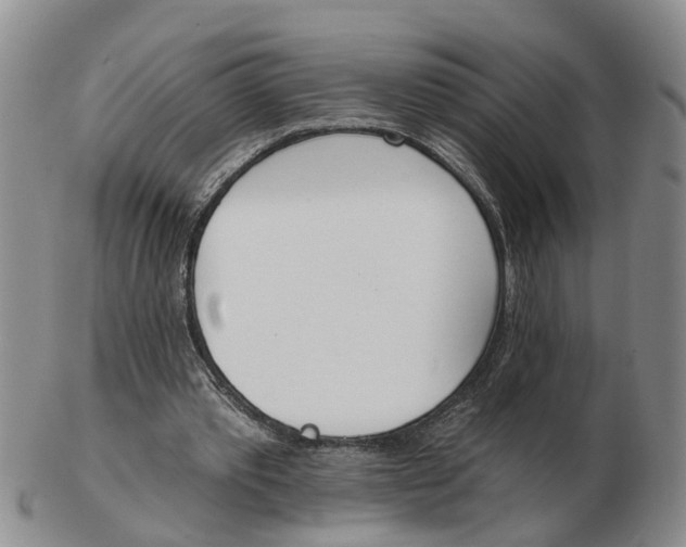 X0000103170389200809121905