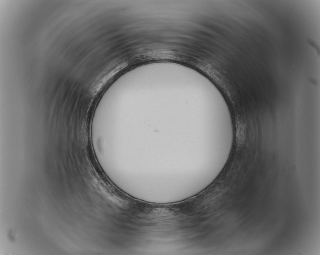 X0000103170390200809121905