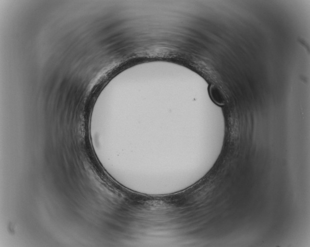 X0000103170392200809121905