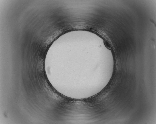 X0000103170393200809121905