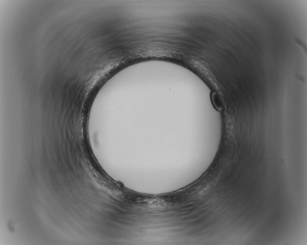 X0000103170395200809121905