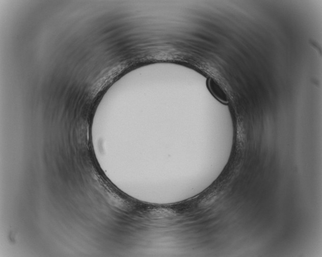 X0000103170397200809121905