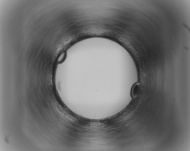 X0000103170399200809121905