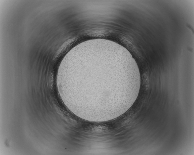 X0000103170400200809121905