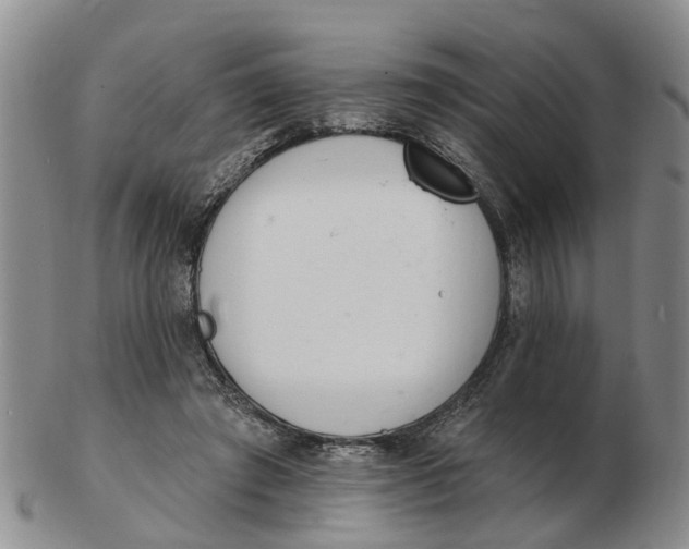 X0000103170401200809121905