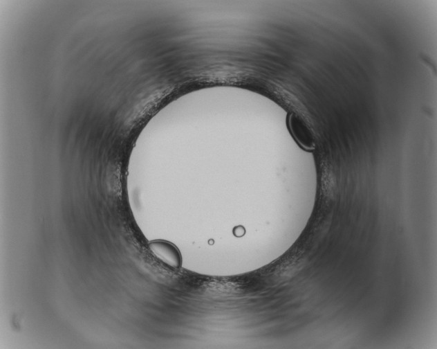 X0000103170403200809121905