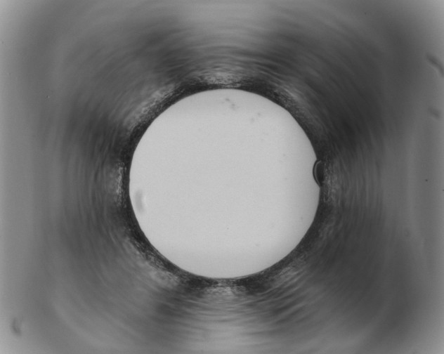 X0000103170404200809121905