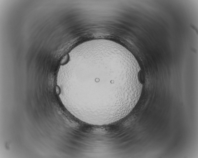 X0000103170405200809121905