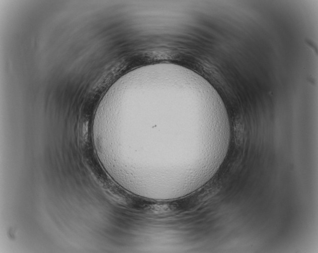 X0000103170406200809121905