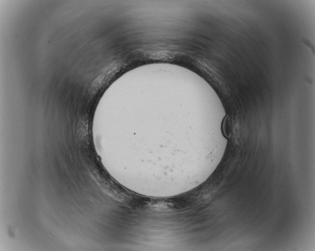 X0000103170407200809121905