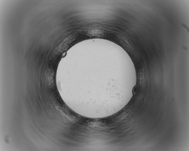 X0000103170408200809121905