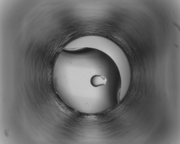 X0000103170409200809121905