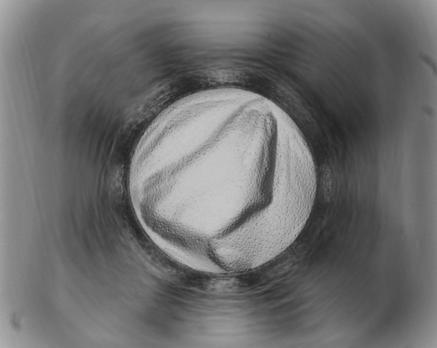 X0000103170410200809121905