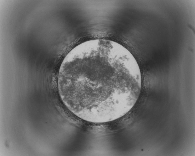 X0000103170411200809121905