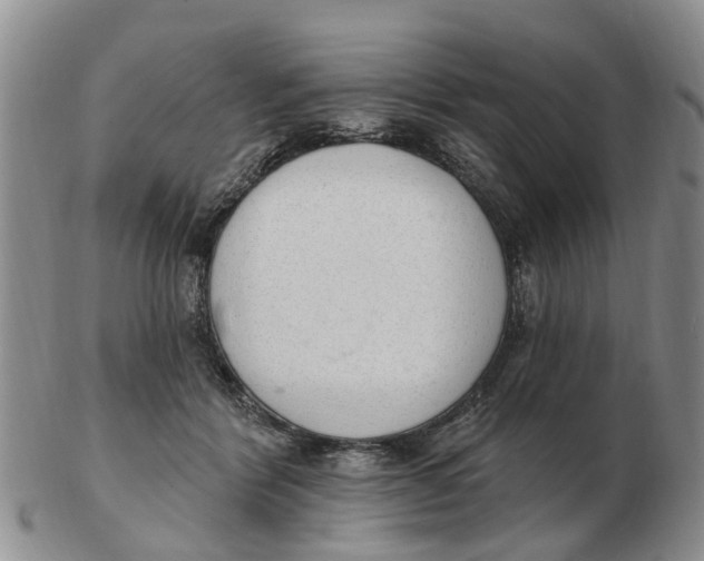 X0000103170412200809121905