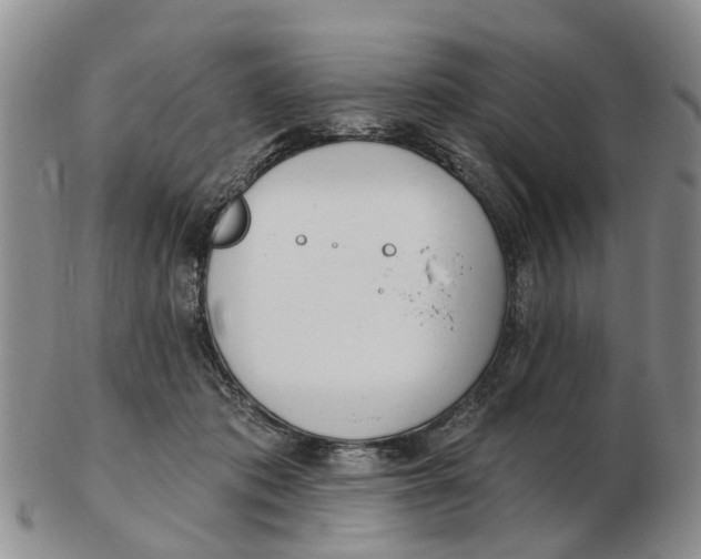 X0000103170413200809121905