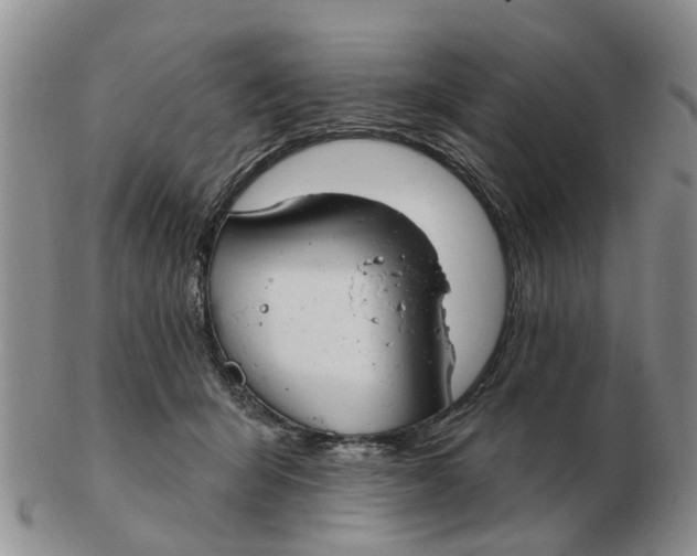 X0000103170415200809121905