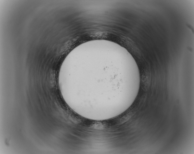 X0000103170416200809121905