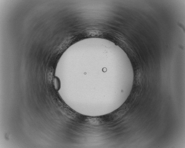 X0000103170417200809121905