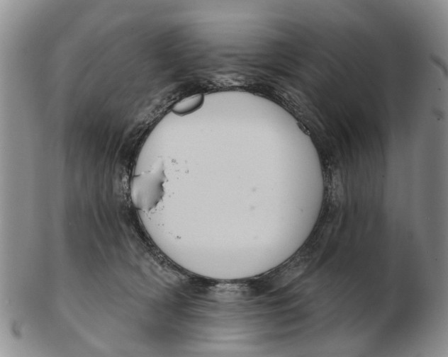 X0000103170418200809121905