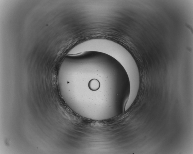 X0000103170419200809121905