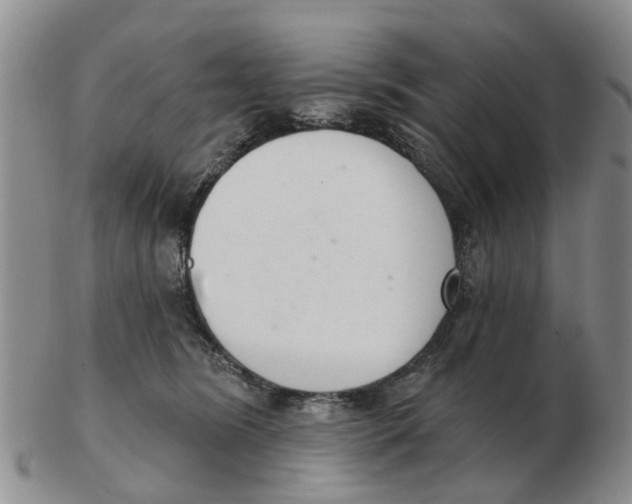 X0000103170420200809121905