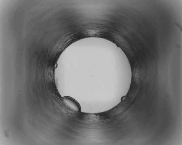 X0000103170421200809121905