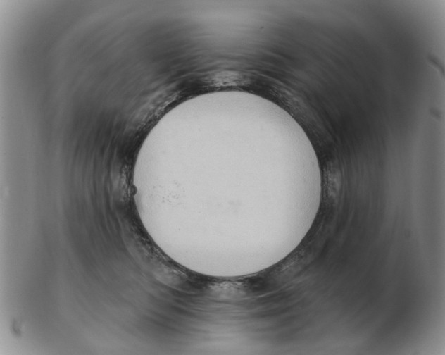 X0000103170422200809121905