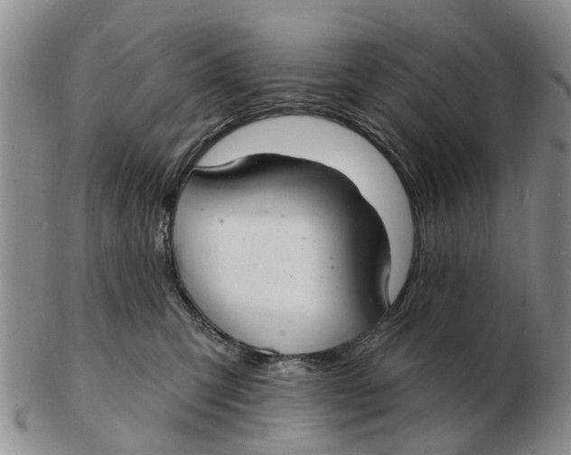 X0000103170423200809121905