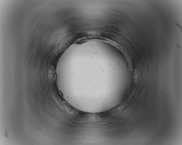 X0000103170424200809121905