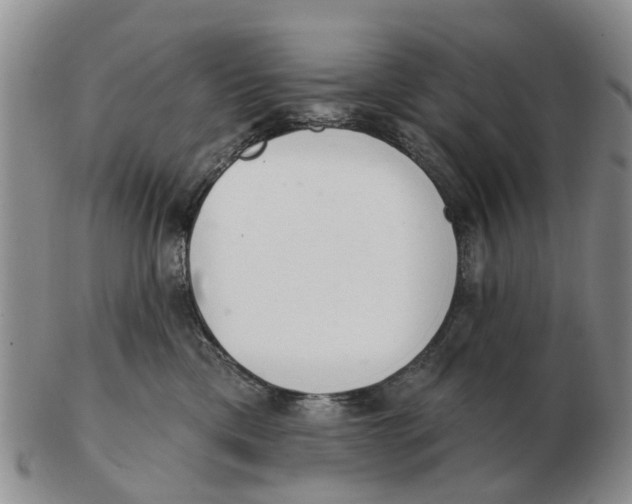 X0000103170425200809121905