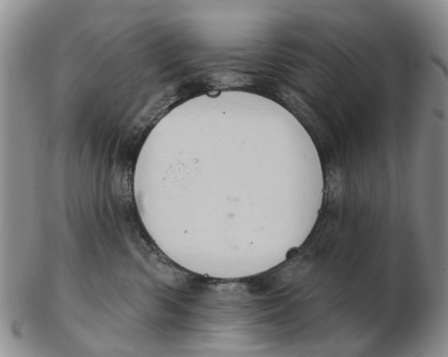 X0000103170426200809121905