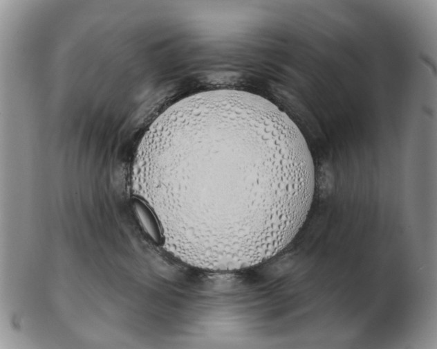 X0000103170428200809121905